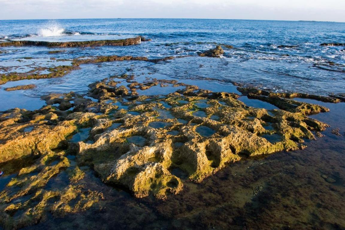 Achziv Sea & Sun Διαμέρισμα Gesher HaZiv Εξωτερικό φωτογραφία